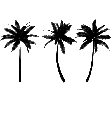 Three Palms Icon